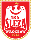 Ślęza Wrocław